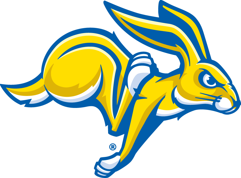 South Dakota State Jackrabbits 2008-Pres Partial Logo diy DTF decal sticker